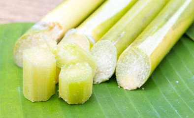 冬季养生吃甘蔗，这样吃效果翻倍